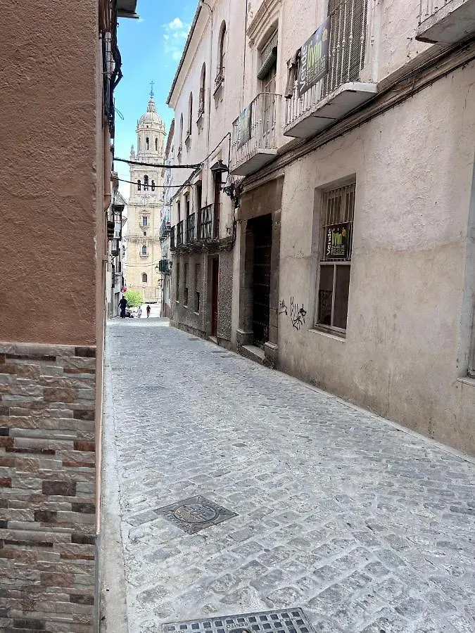Apartamentos La Catedral De Jaen contacts